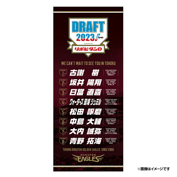 楽天市場】【イヌワシ・ザ・バーゲン】【2023DXMyHEROタオル】#18田中