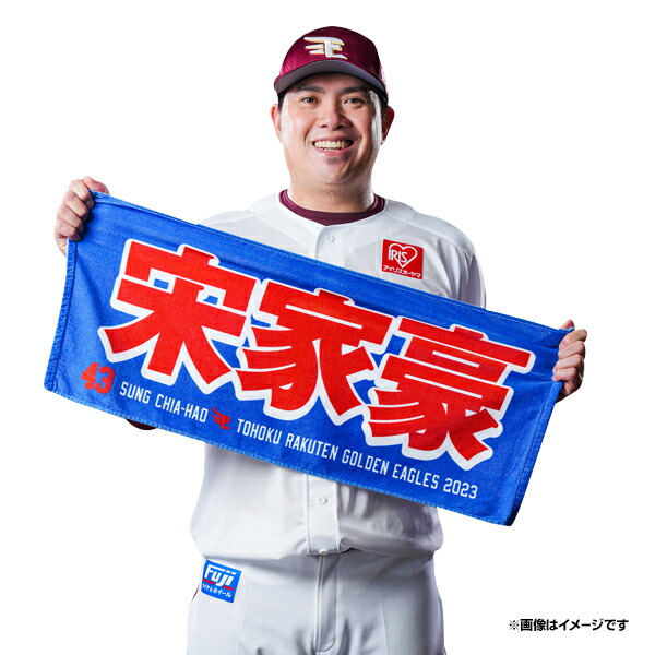 楽天市場】【イヌワシ・ザ・バーゲン】【2023MyHEROタオル】#21早川 楽天市場】【イヌワシ・ザ・バーゲン】【2023MyHEROタオル】#21早川