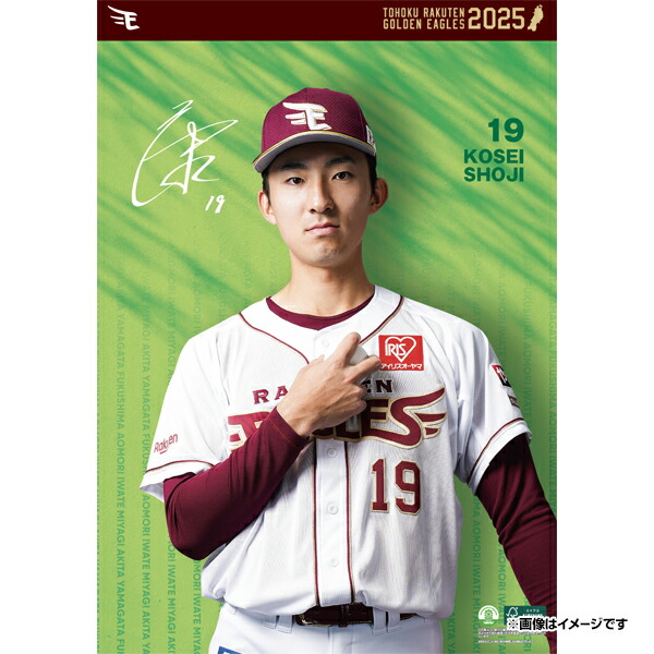 楽天市場】【イヌワシ・ザ・バーゲン】【2024選手イラストシリーズ