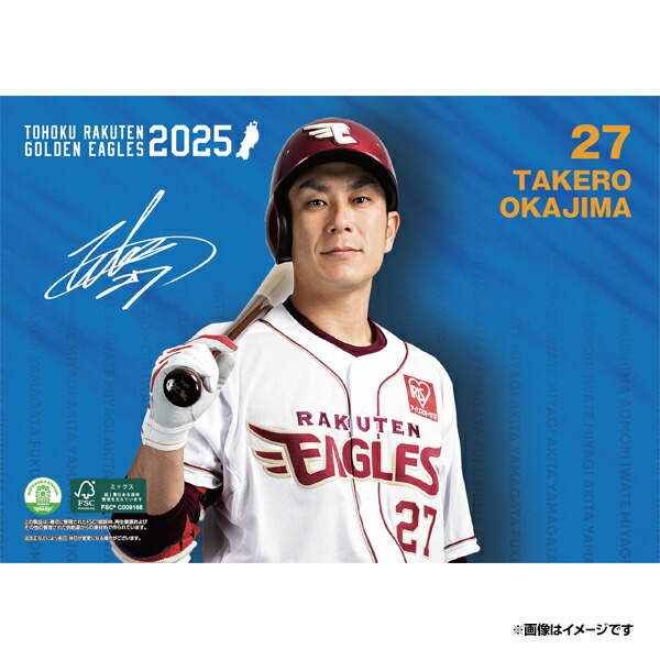 楽天市場】キャップ型セミハードポーチ/#27岡島豪郎《楽天