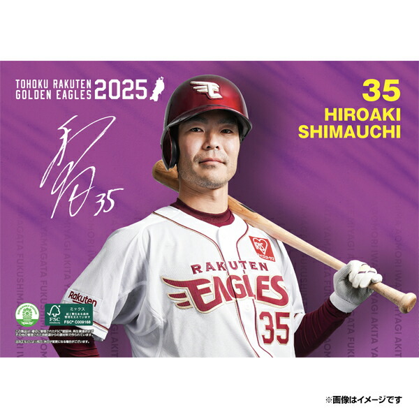 楽天市場】【イヌワシ・ザ・バーゲン】2024 MyHEROユニフォーム