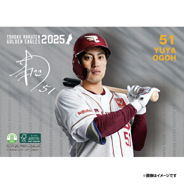 楽天市場】【イヌワシ・ザ・バーゲン】2025年選手壁掛け