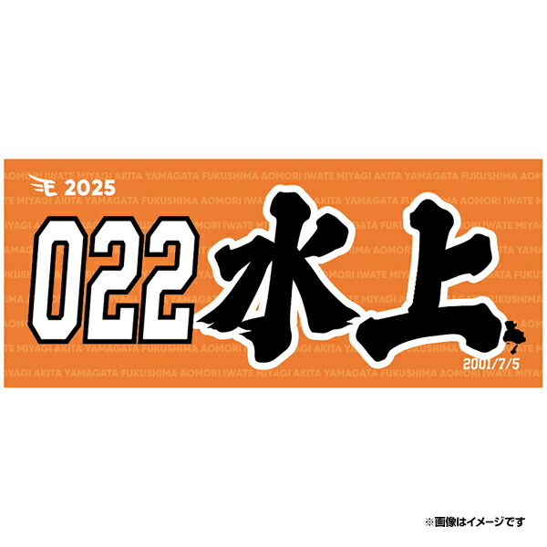 楽天市場】 ○選手別アイテム > 捕手 > #022水上桂 : 楽天