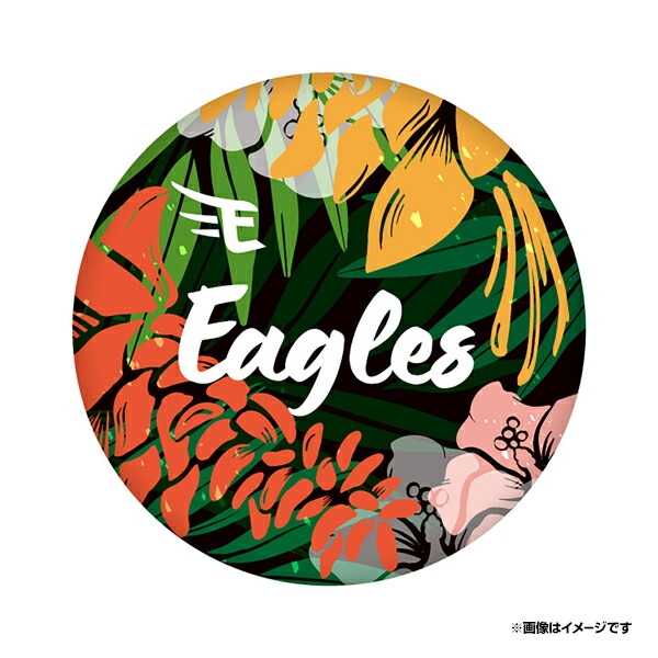 楽天市場】【 SNOOPY＊楽天イーグルス】缶バッジ2個セット