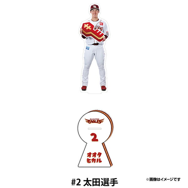 楽天市場】【イヌワシ・ザ・バーゲン】【2025シーズンスローガン「キ