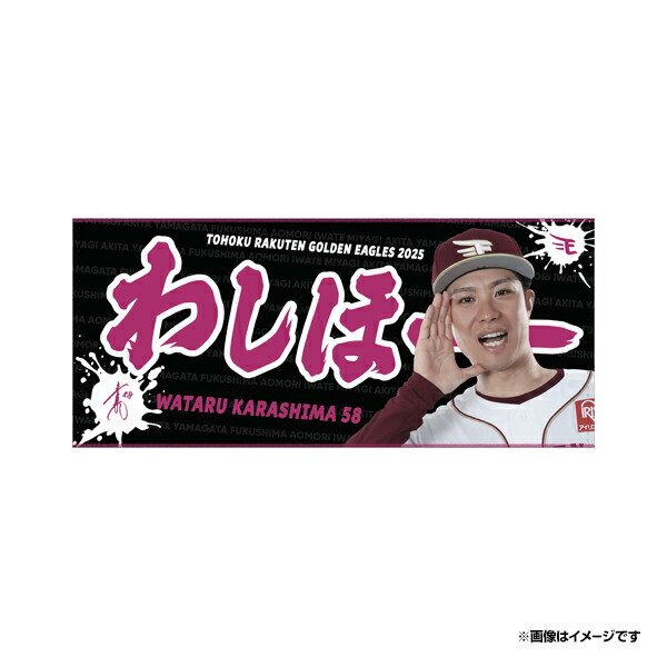 楽天イーグルス 宗山塁選手　直筆サイン色紙 楽天イーグルス 宗山塁 直筆サイン色紙 ドラフト1位 明治大学