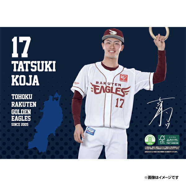 楽天イーグルス　2005年創設時カレンダー　全13枚　大判サイズ　未使用　激レア 楽天イーグルス 2005年創設時カレンダー 全13枚 大判サイズ 未使用 激レア