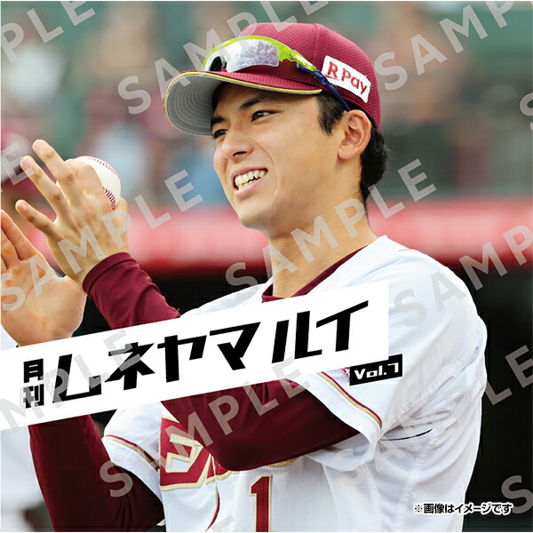 楽天市場】サイン用ボール《楽天イーグルス》 : 楽天イーグルス