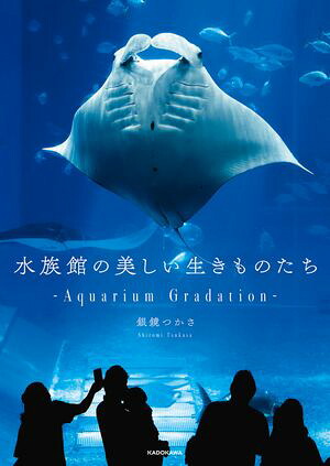 ��²�ۤ�������������Τ�����AquariumGradation��