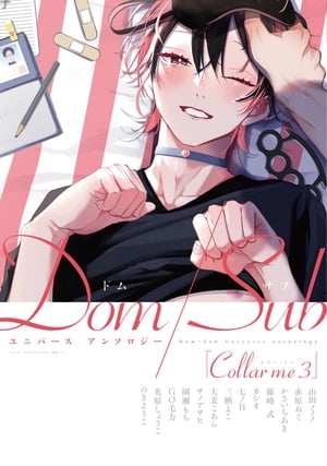 CollarmeDom/Sub˥С󥽥