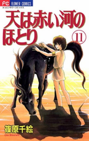 天は赤い河のほとり(11) 表紙