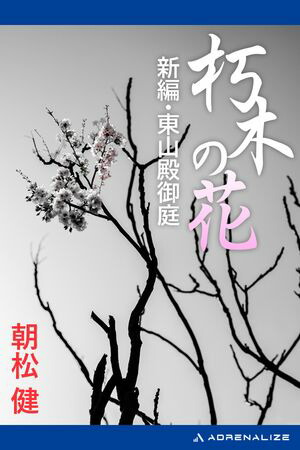 ڤβֿԡ컳¸