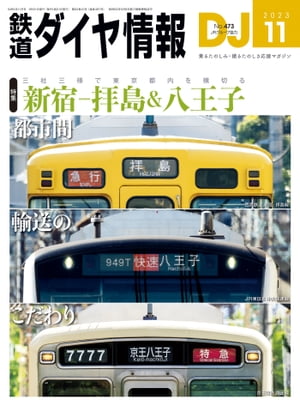 Ŵƻ2023ǯ11