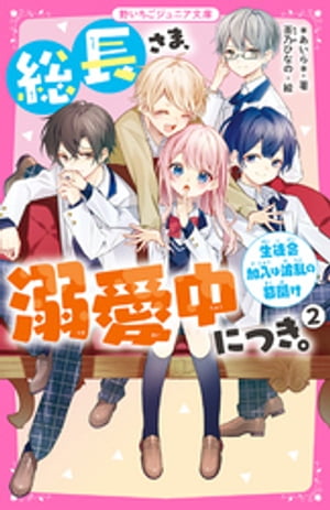 総長さま、溺愛中につき。 1-11巻＋α 全巻13冊セット 総長さま、溺愛中につき。11.5 最強男子たちの本音 ＊あいら