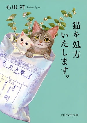 価格の安い子猫（ネコちゃん）をさがす / 株式会社かねだい
