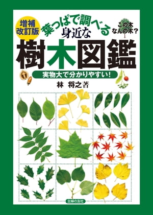 有用樹木図説 林木編