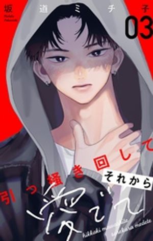 引っ掻き回してそれから愛でて(3) 表紙