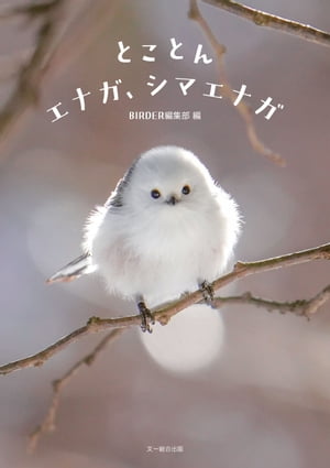ȤȤ󥨥ʥޥʥ