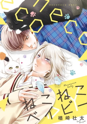 �ͤ��ͤ��٥��ӡ����ŻҸ��ꥫ�С��������������ա�