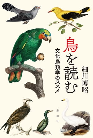 楽天Kobo電子書籍ストア: 鳥を読む - 文化鳥類学のススメ - 細川博昭 - 7131259738690