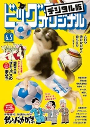 ビッグコミックオリジナル2026年11号（2026年5月20日発売)