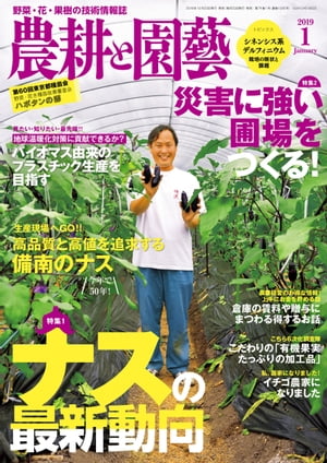 ̤ȱ2019ǯ1