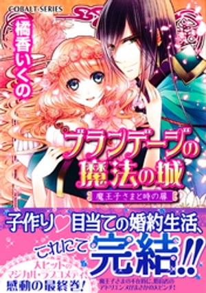ブランデージの魔法の城魔王子さまと時の扉