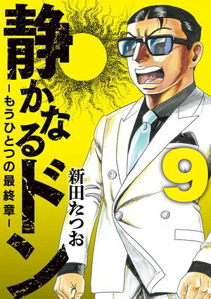 静かなるドン - もうひとつの最終章 -（9） 書影