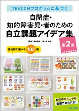 �ԣţ��ããȥץ������˴�Ť����ľɡ���Ū�㳲�����ԤΤ���μ�Ω���ꥢ���ǥ����裲������Ū�̤����٤룱������