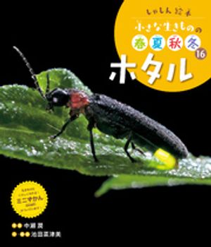 ホタル１６しゃしん絵本小さな生きものの春夏秋冬