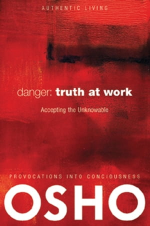 楽天Kobo電子書籍ストア: Danger: Truth at Work - The Courage to