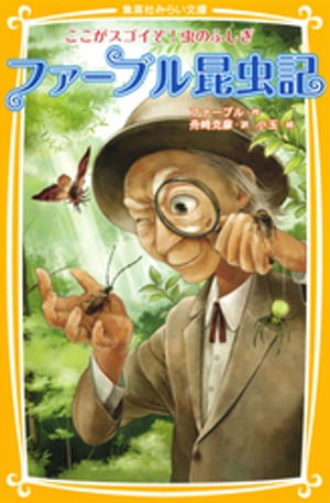 �ե����֥뺫�������������������Τդ���