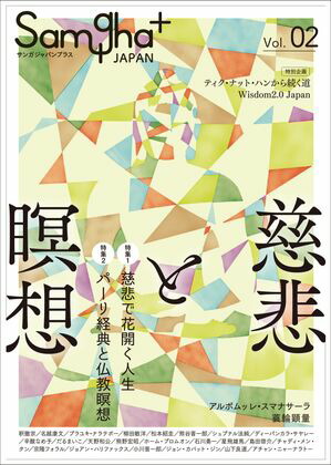 󥬥ѥץ饹Vol.2