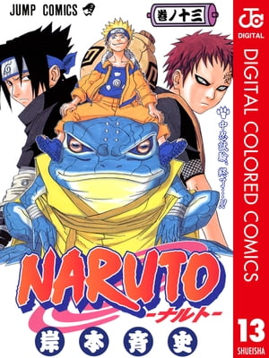NARUTO���ʥ�ȡ����顼��13
