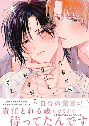 �İ�����ʤ��ǡ��İ����餻�ơ��ŻҸ��꤫���������ա�