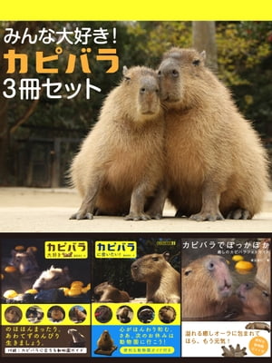 ߤ繥ԥХ飳å
