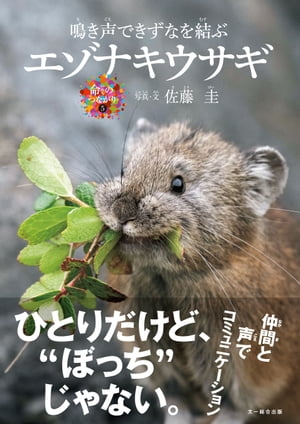 鳴き声できずなを結ぶエゾナキウサギ
