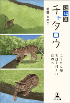 ûԽ㥿դǭͧãܤ˸ζء