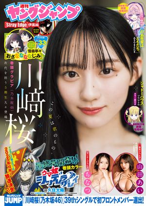 󥰥2025No.33