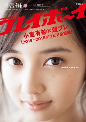 ����ͭ�ӡ߽��ץ��2013��2018����ӥ�����Ͽ��