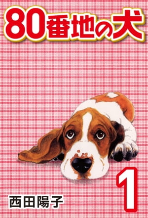 80番地の犬(1)
