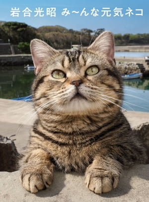 岩合光昭み〜んな元気ネコ