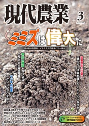 2025ǯ3
