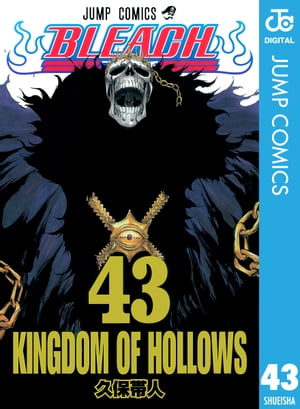 BLEACHモノクロ版43