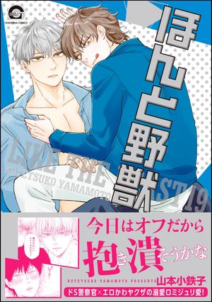 �ۤ�����19�����ŻҸ��꤫��������̡���դ���