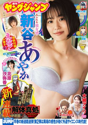 󥰥2025No.11