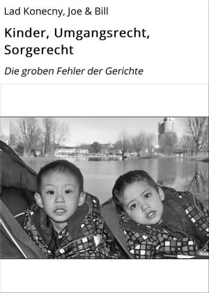 Kinder,Umgangsrecht,SorgerechtDiegrobenFehlerderGerichte