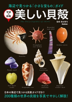 楽天市場】新編世界イカ類図鑑 奥谷喬司/著 : ドラマ×プリンセス