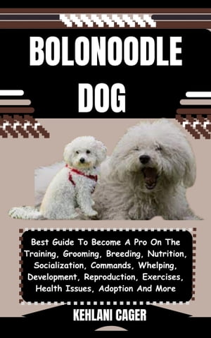 Bolonoodle breeder store