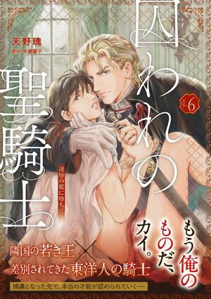 【単話版】囚われの聖騎士（6）